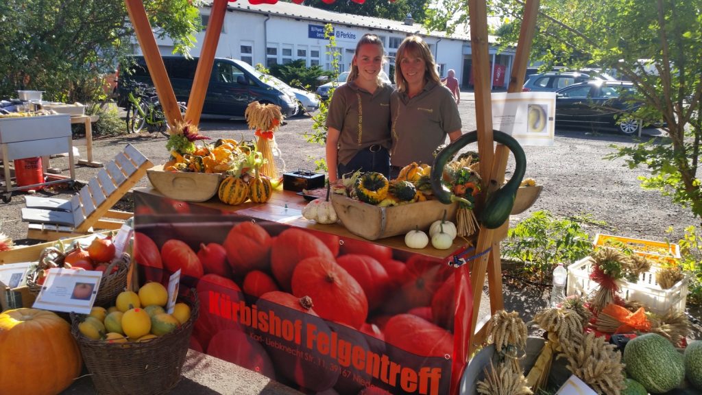 Kürbisverkauf: Hier packt die ganze Familie mit an