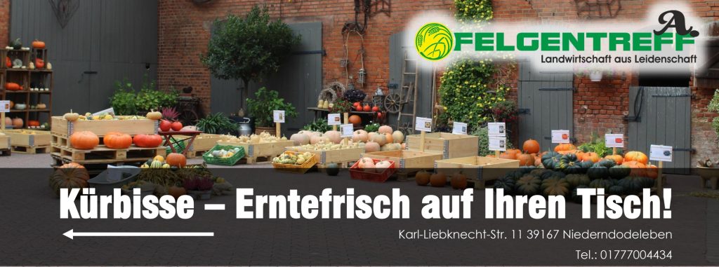 Kürbisse: erntefrisch auf ihren Tisch