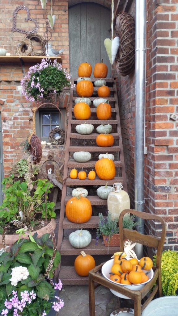 Kürbisdekoration für den Herbst